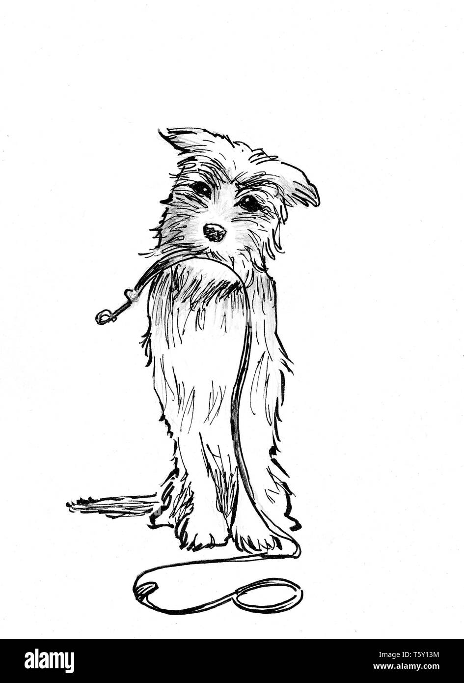 Ink drawing dog with dog leash in its mouth Stock Photo