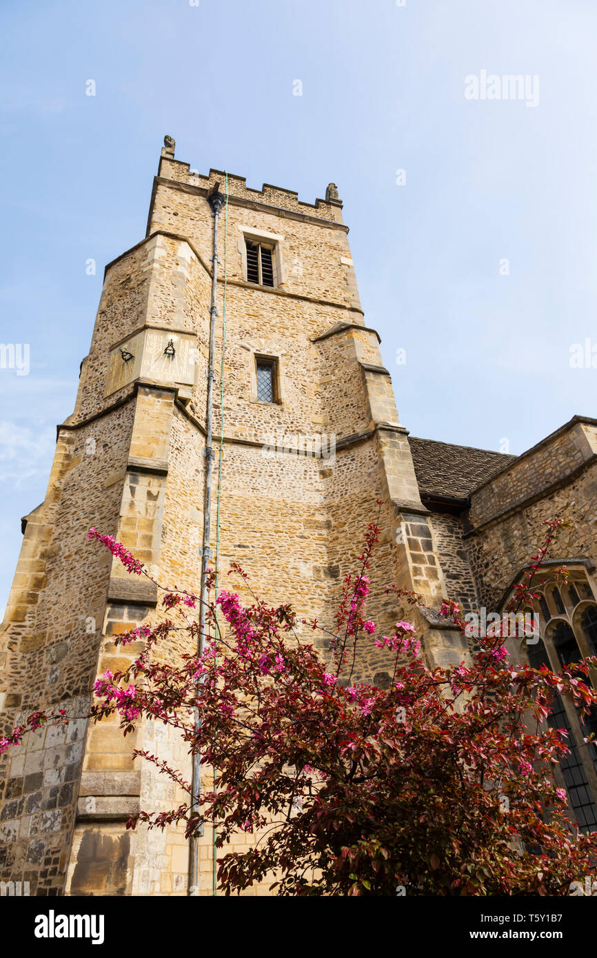 St Botolphs Church, Trumpington Street, Cambridge, Cambridgeshire Stock