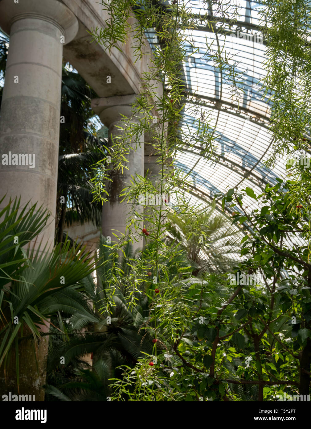 The Winter Garden, part of the Royal Greenhouses at Laeken. The Winter