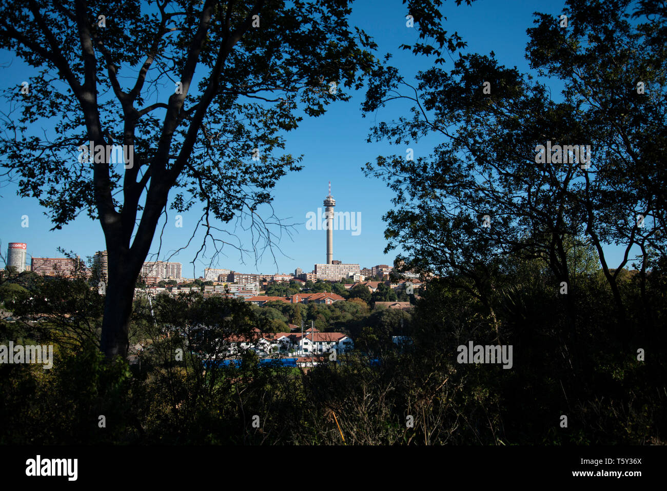 Johannesburg, South Africa, 27th April, 2019. The iconic Hillbrow tower of the Johannesburg skyline framed by trees growing in The Wilds, a recently restored public park near the city centre. Credit: Eva-Lotta Jansson/Alamy Stock Photo