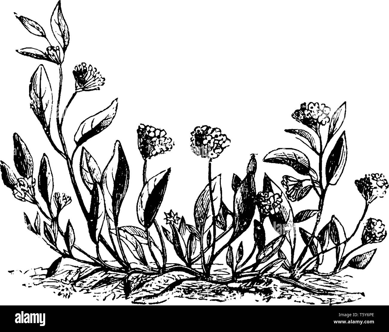 Small groups Stock Vector Images Alamy