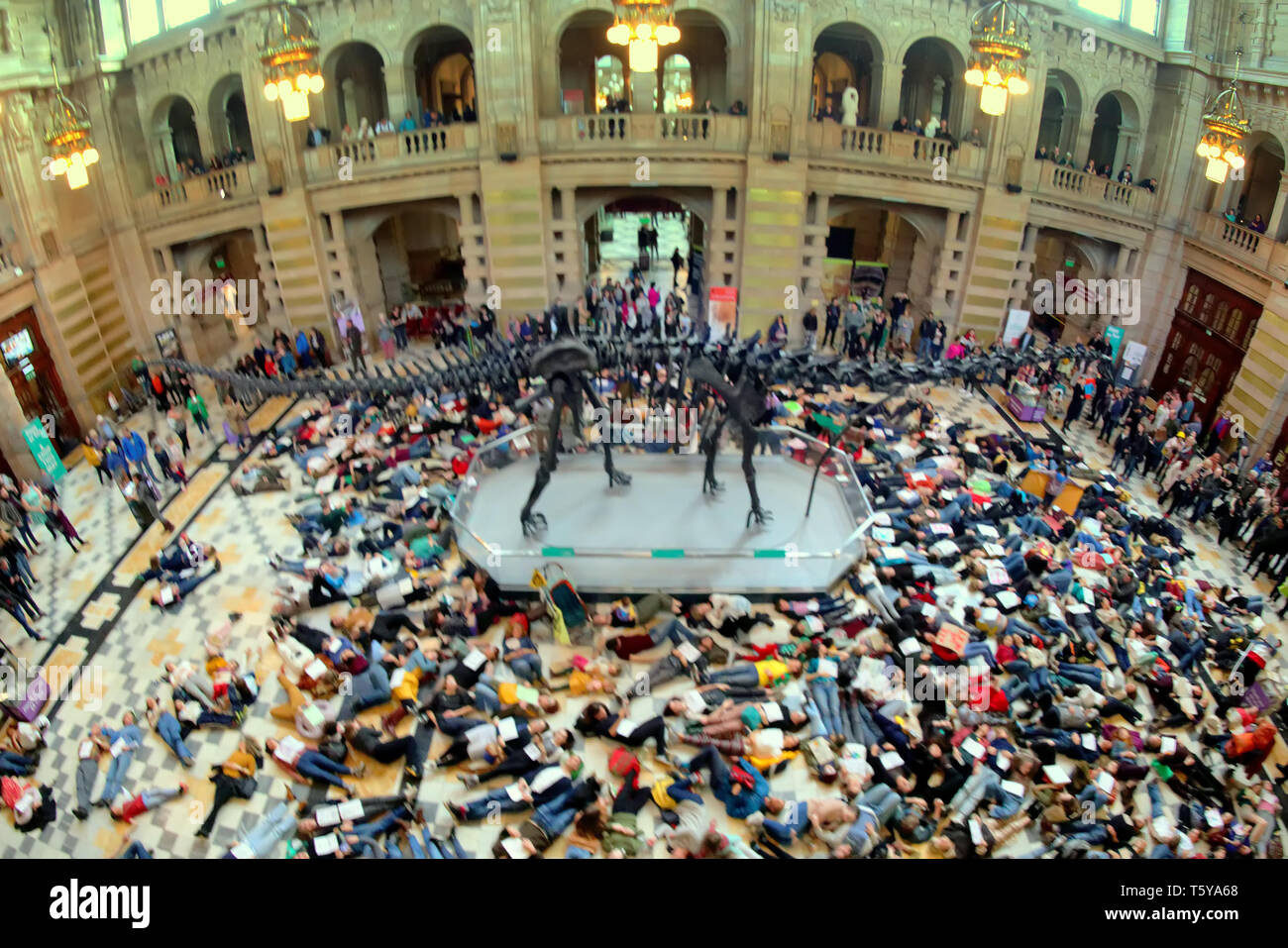 Glasgow, Scotland, UK 27th April, 2019. Kelvingrove Art Galleries and Museum saw a copycat protest at climate change to the blue whale in London as dippy the Diplodocus saw an Extinction Rebellion Climate change protesters lie down protest ie “die- in” through earth being poisoned. Gerard Ferry/Alamy Live News Stock Photo