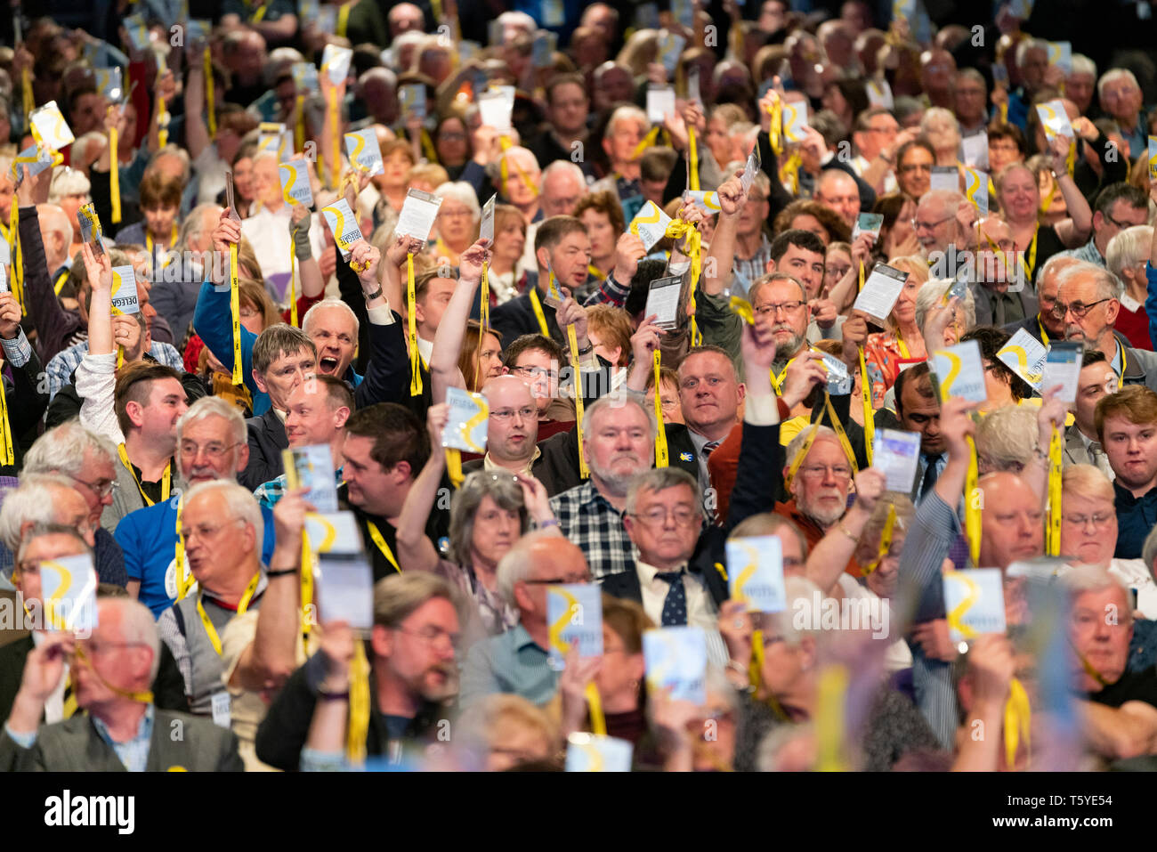 Edinburgh, Scotland, UK. 27 April, 2019. SNP ( Scottish National Party) Spring Conference takes place at the EICC ( Edinburgh International Conference Centre) in Edinburgh. Pictured; Delegates voting during a session on day 1. Credit: Iain Masterton/Alamy Live News Stock Photo