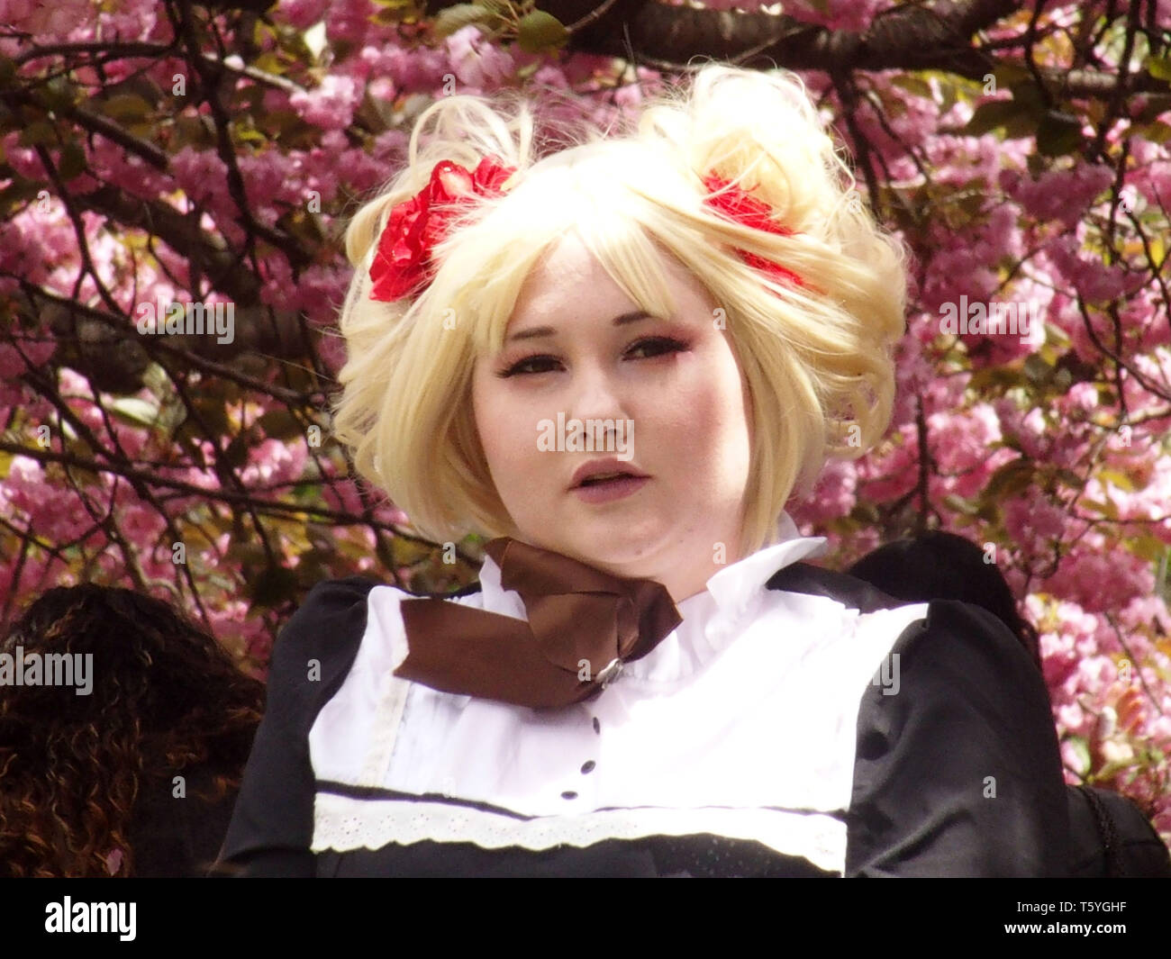 New York, New York, USA. 27th Apr, 2019. Sakura Matsuri Cherry Blossom