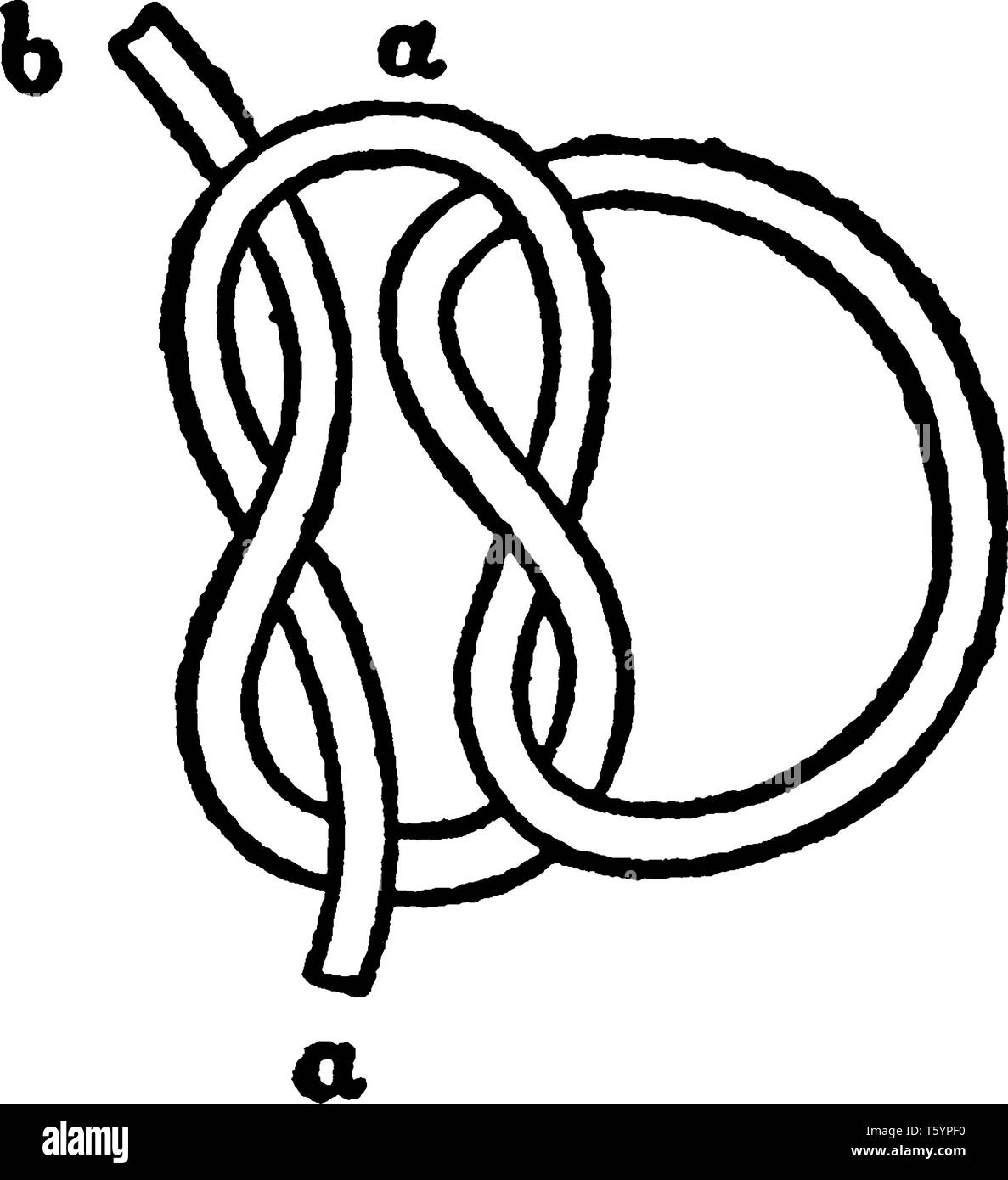 Reef Knot is an ancient and simple binding knot used to secure a rope