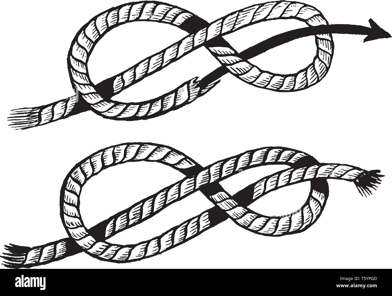Figure Eight Knot is a type of stopper knot and it is very important in both sailing and rock climbing as a method of stopping ropes, vintage line dra Stock Vector