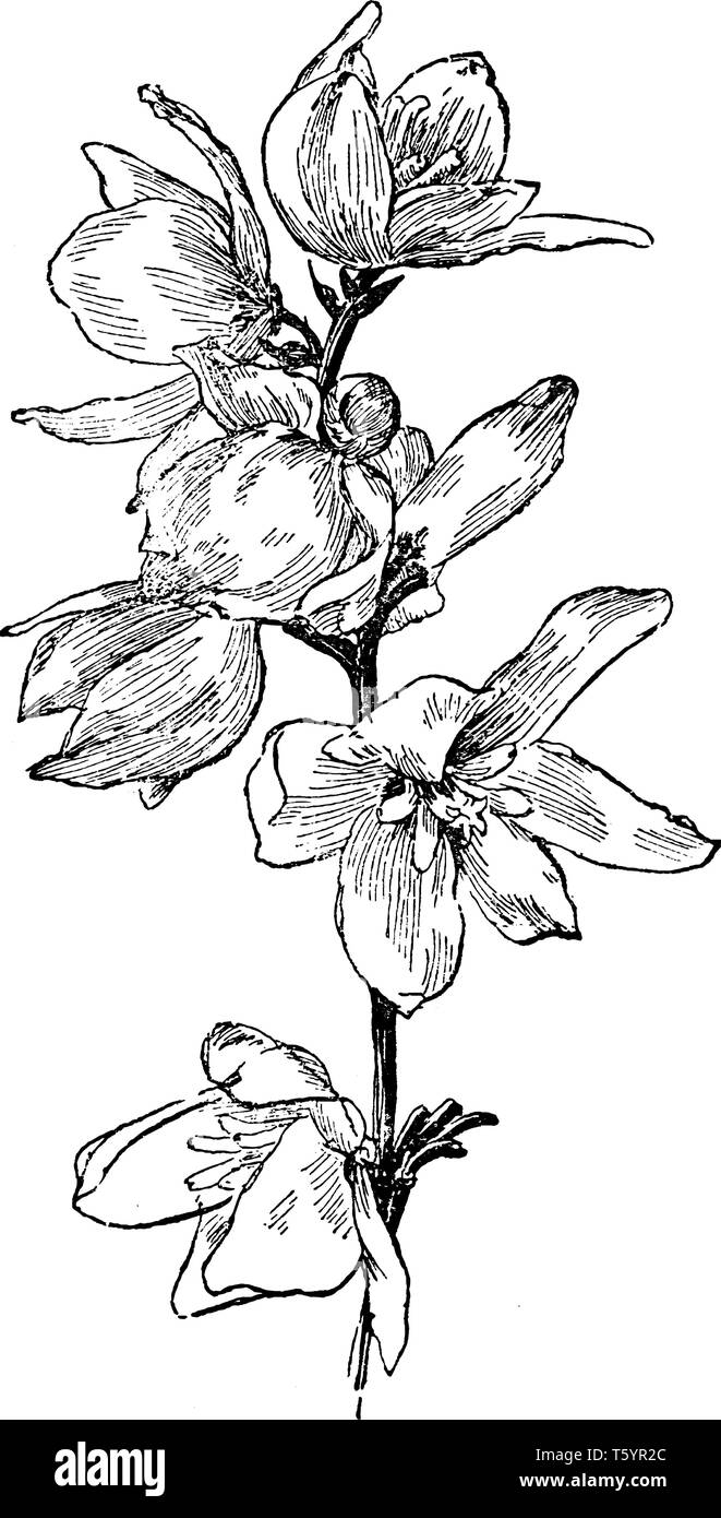 Lump vector vectors hi-res stock photography and images - Alamy