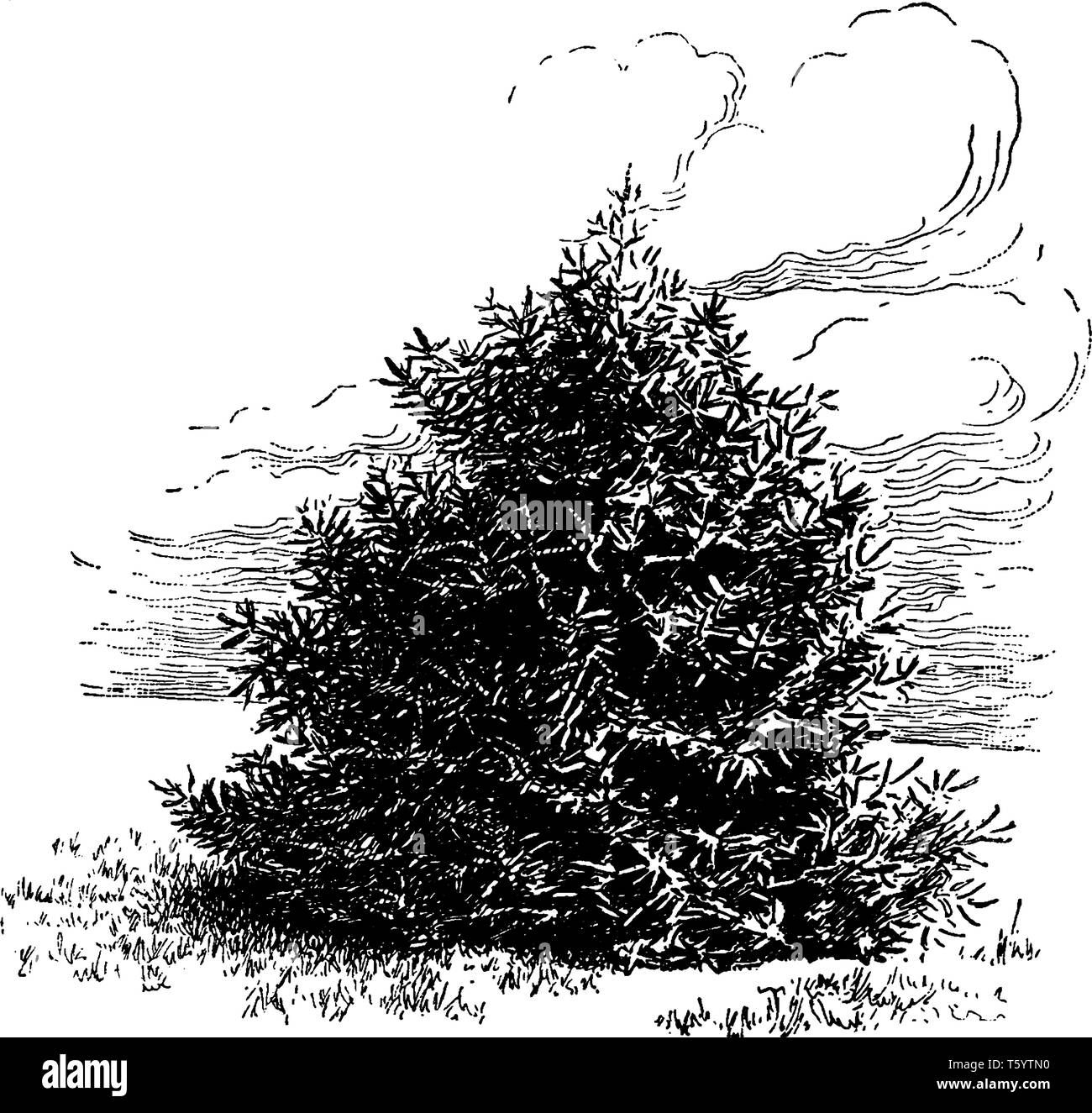 Spanish mountains illustration Black and White Stock Photos \u0026 Images - Alamy, image size:1300x1325