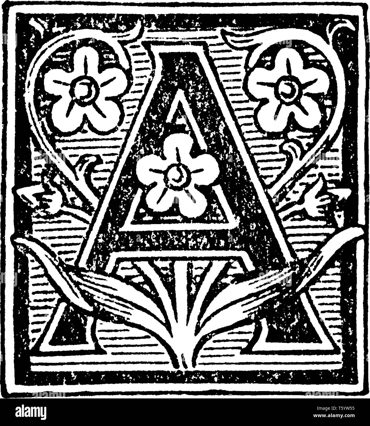 A decorative capital letter A with vines and leaves, vintage line