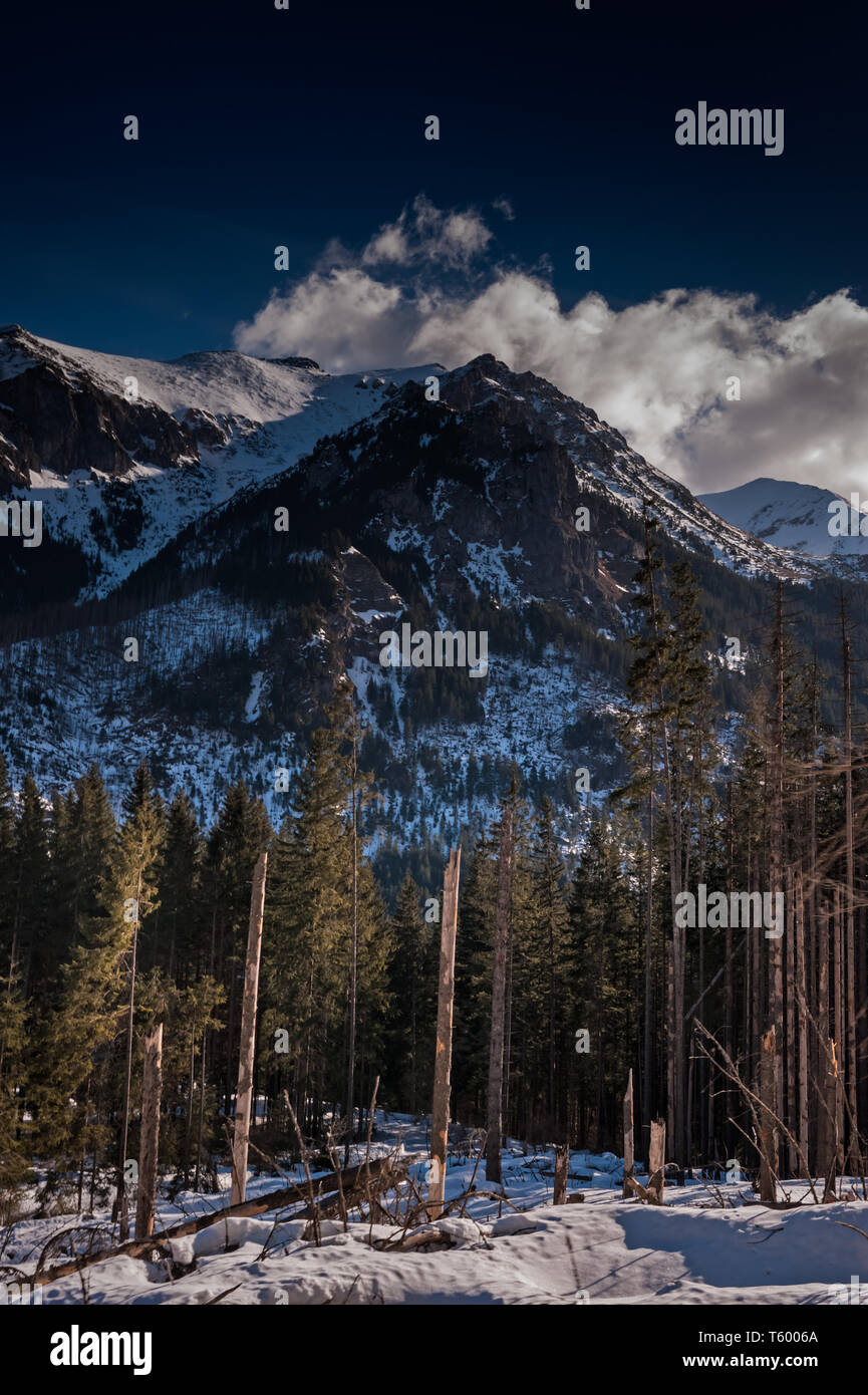 Zakopane in Lesser Poland Stock Photo - Alamy