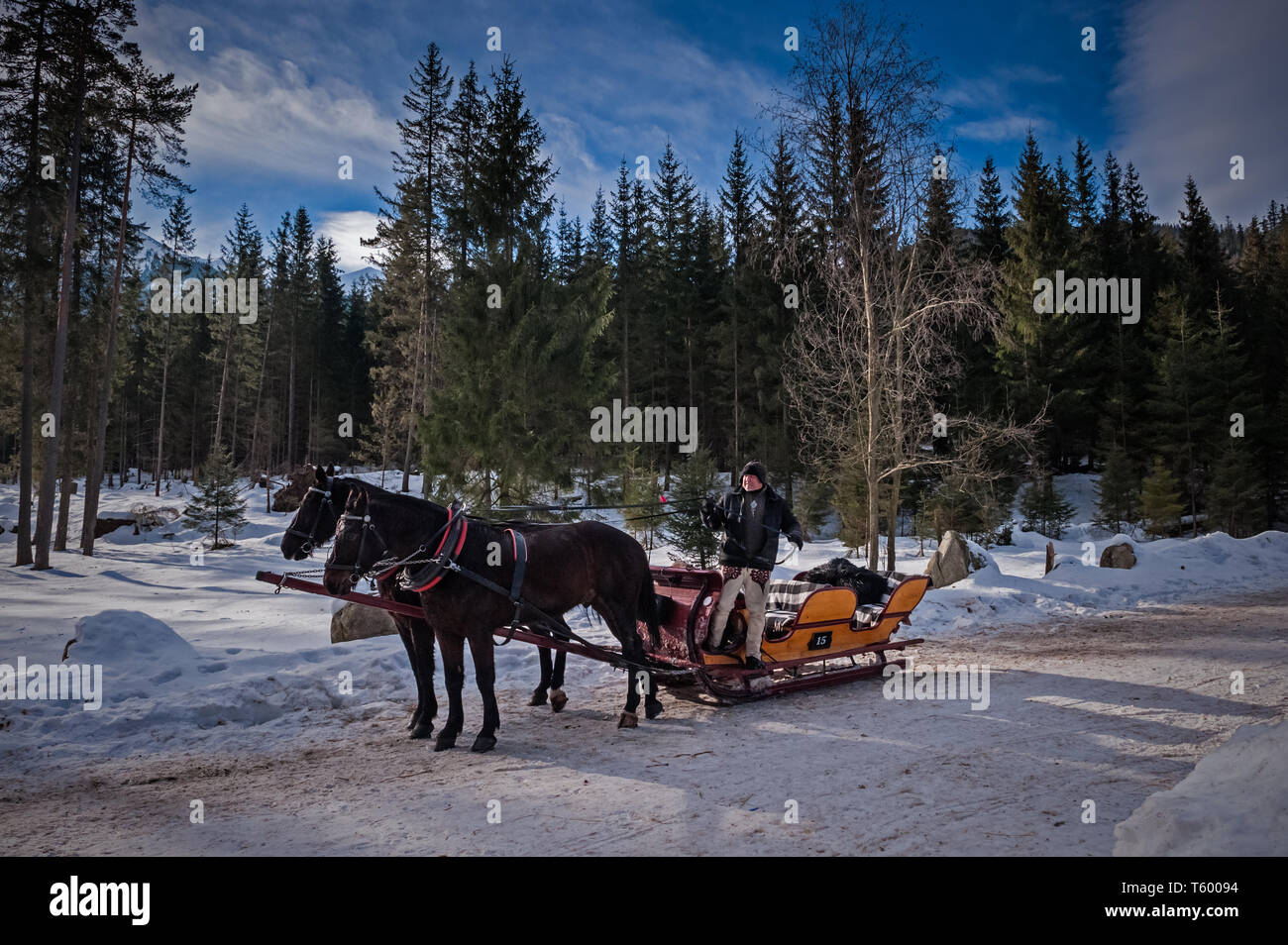 Gorals with their horse drawn carriages offering rides to Morskie Oko Stock Photo