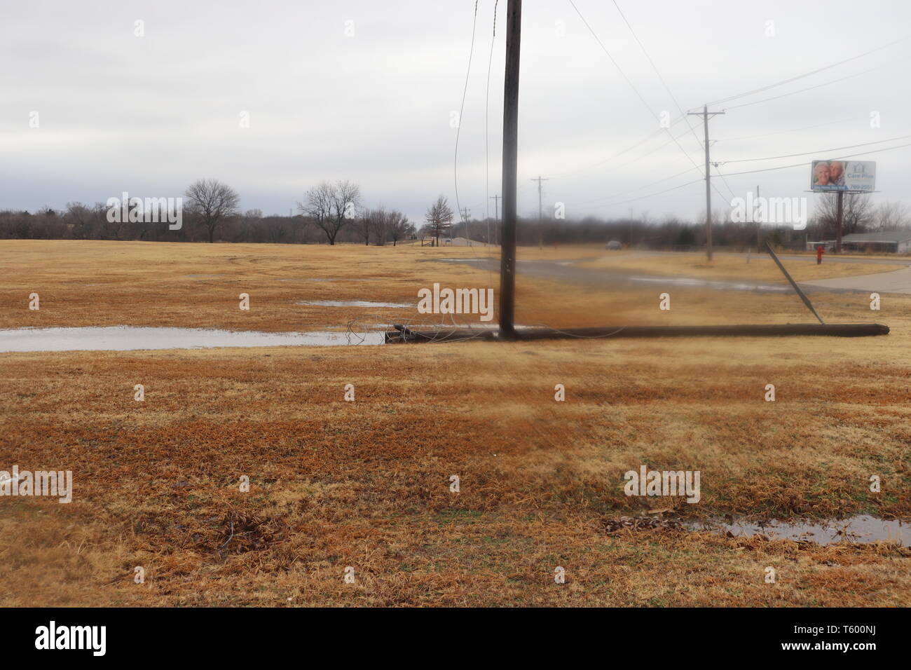 Down power pole in the water Stock Photo - Alamy