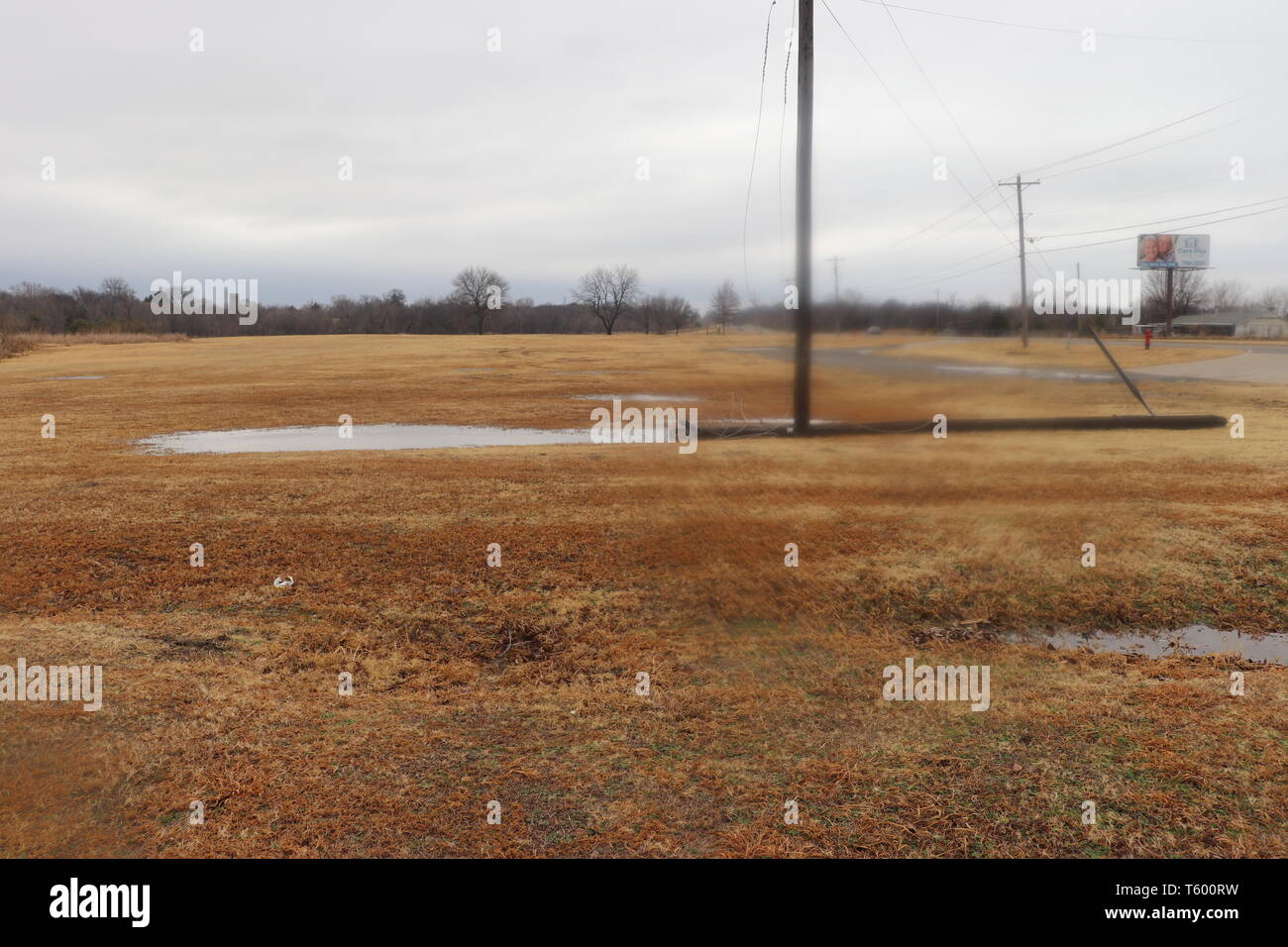 Down power pole in the water Stock Photo - Alamy