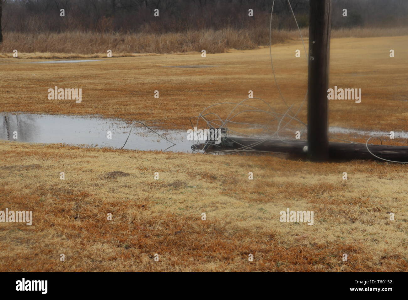 Down power pole in the water Stock Photo - Alamy