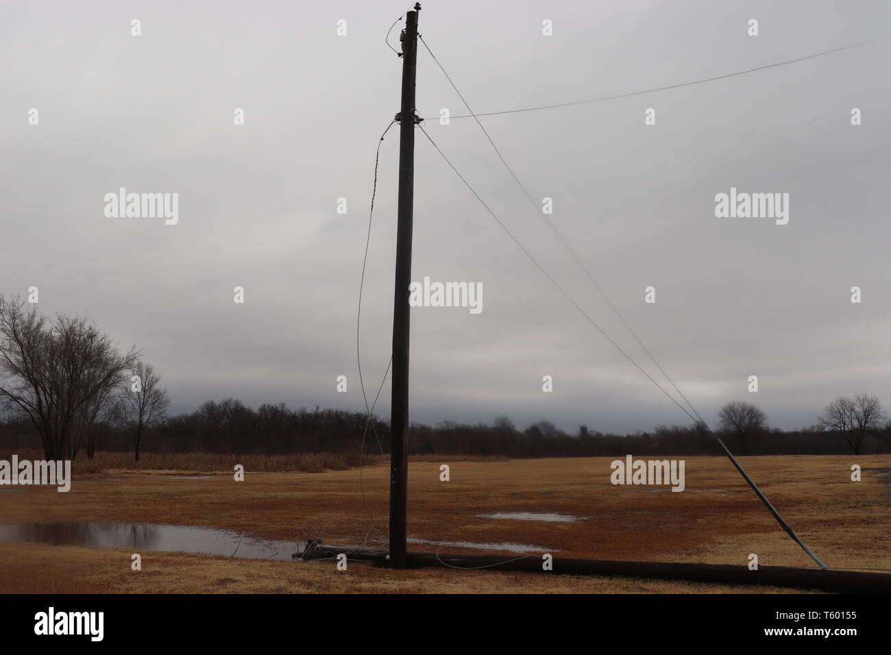 Down power pole in the water Stock Photo - Alamy