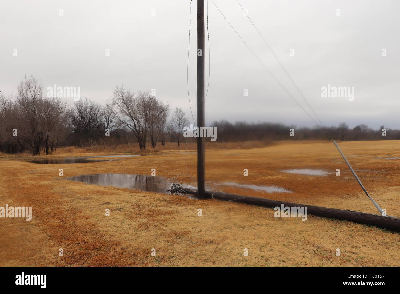 Down power pole in the water Stock Photo - Alamy