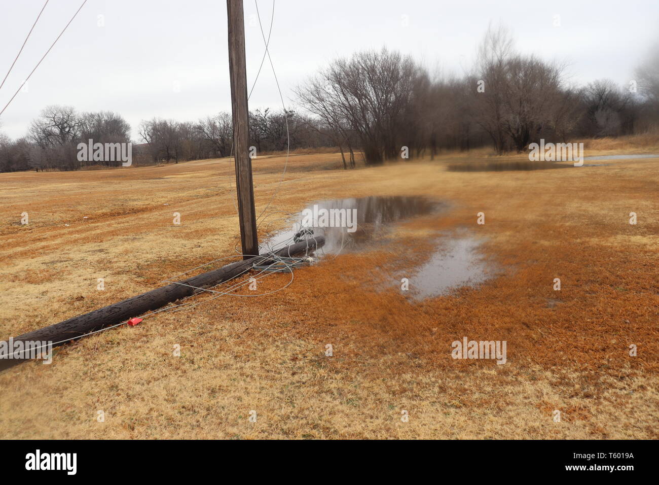 Down power pole in the water Stock Photo - Alamy