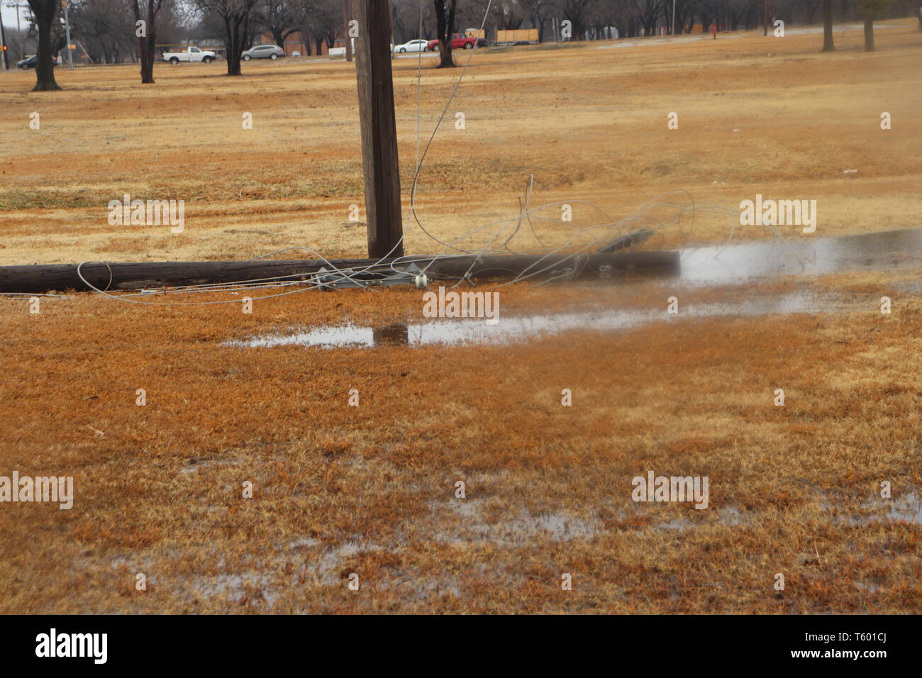 Down power pole in the water Stock Photo - Alamy