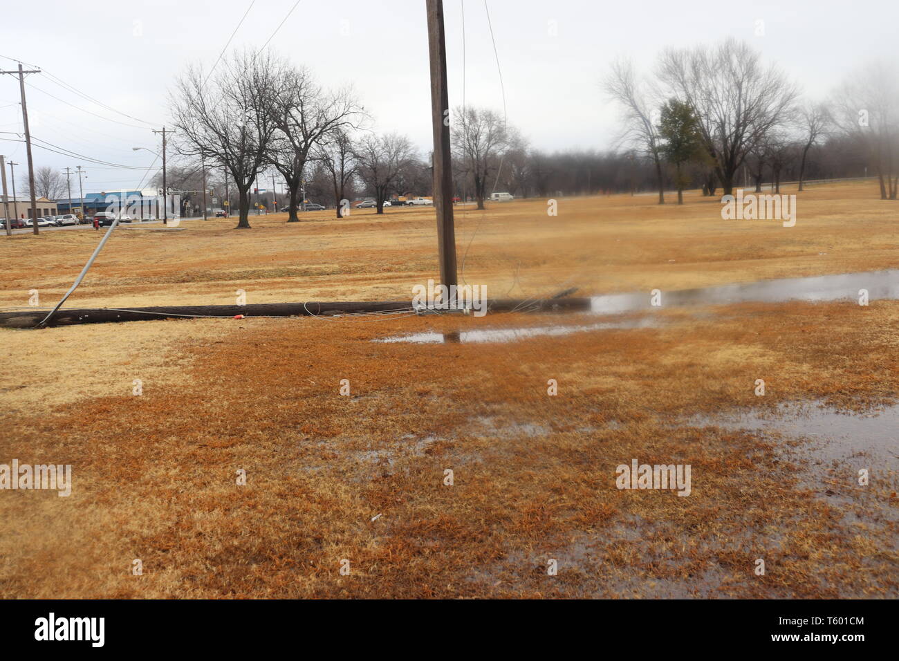 Down power pole in the water Stock Photo - Alamy
