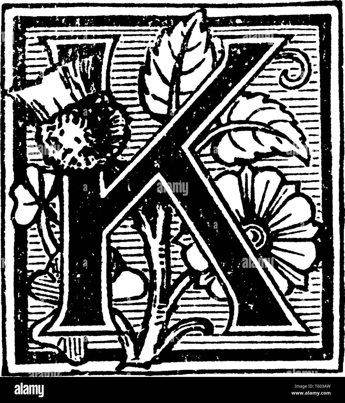 A decorative capital letter K with flowers and lines, vintage line