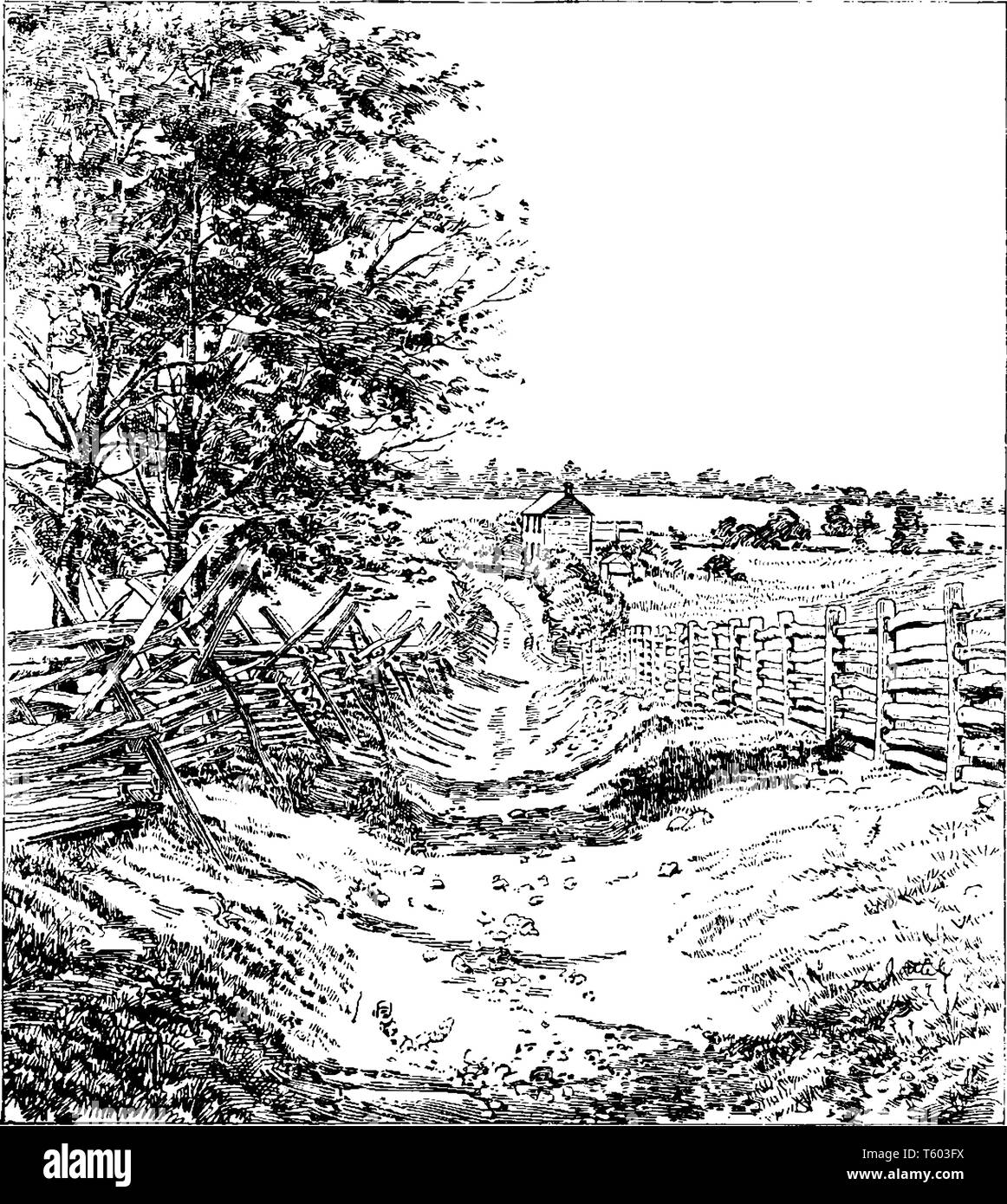 Sunken Road at Battle of Antietam also known as the Battle of Sharpsburg was fought on September 17 in 1862, vintage line drawing or engraving illustr Stock Vector