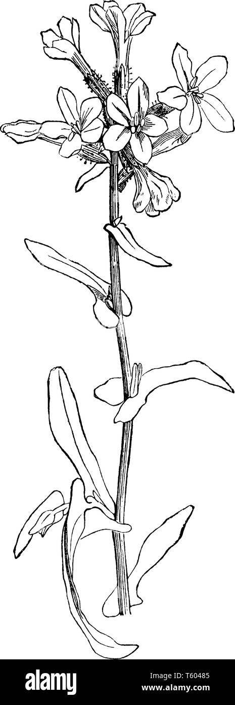 Purple basin hi-res stock photography and images - Alamy