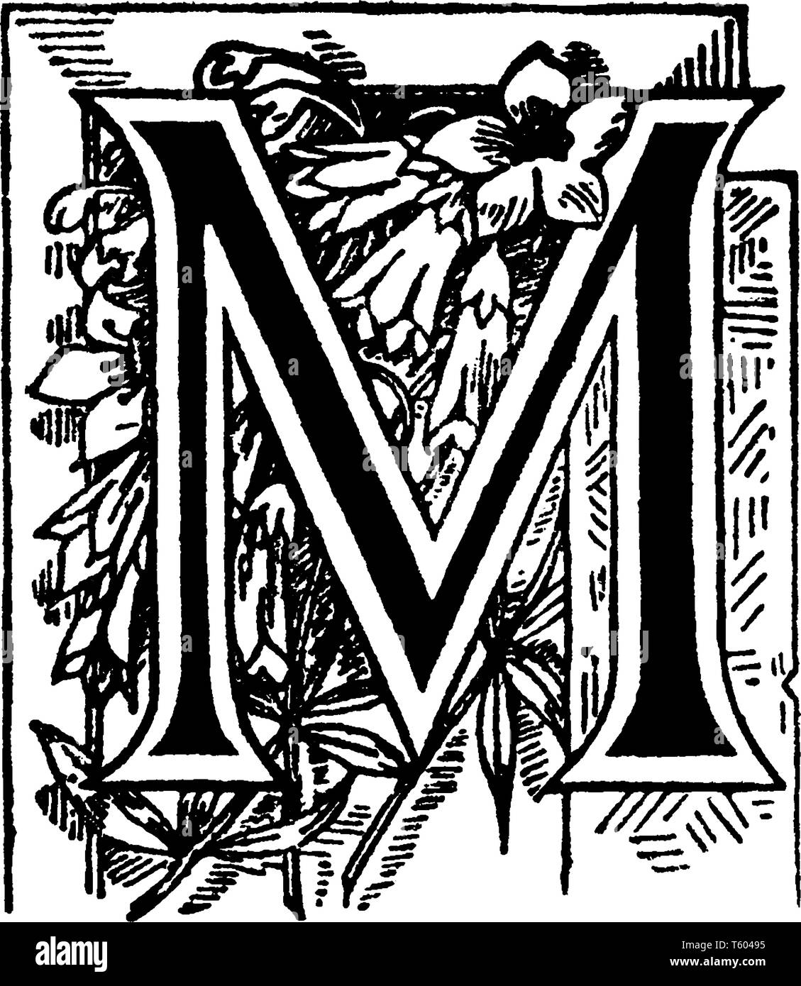A letter M with floral design, vintage line drawing or engraving