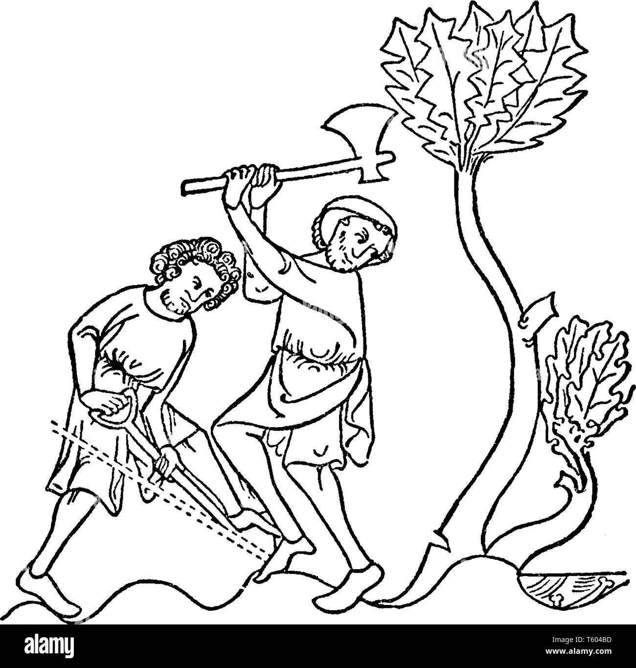 Two men chopping tree with an axe, vintage line drawing or engraving illustration Stock Vector