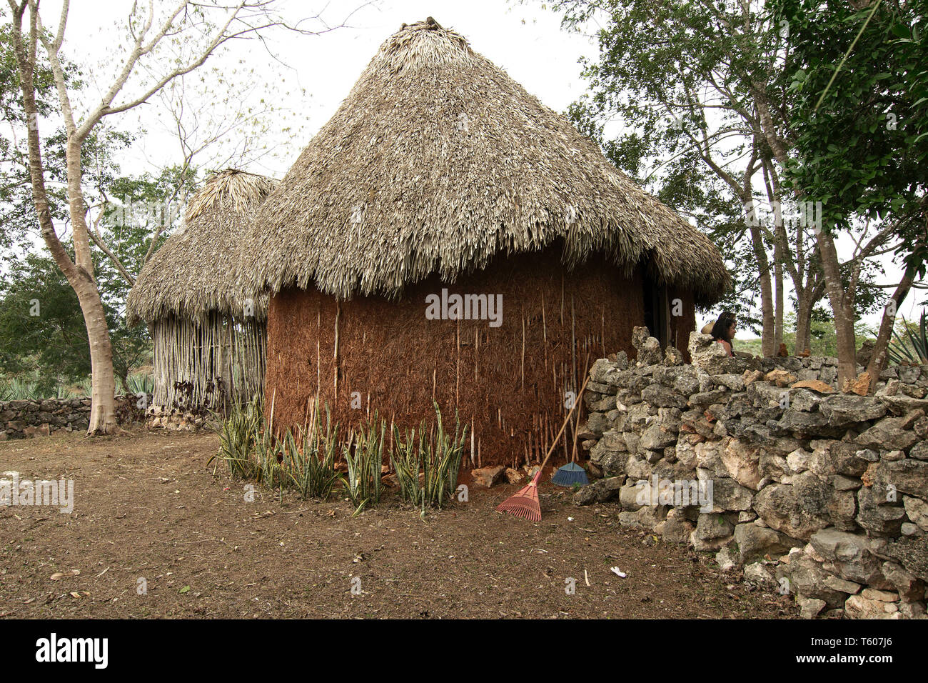 Tecoh, Yucatan, Mexico - 2019: A traditional Mayan house is displayed for the tourists at the historic Hacienda Sotuta de Peon. Stock Photo