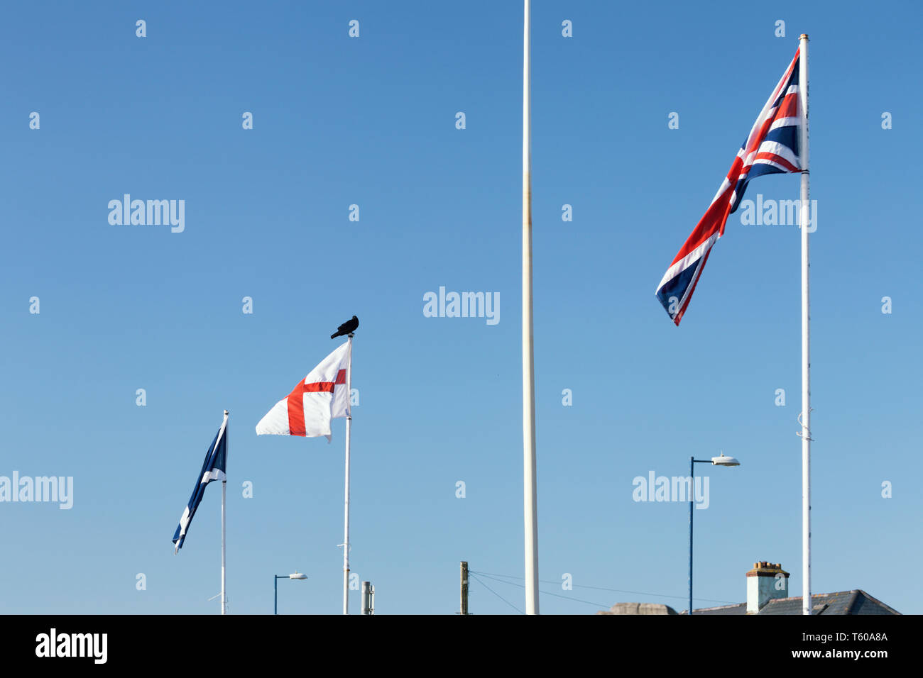 Black raven sitting on the top of flag post with waving flag of England Stock Photo