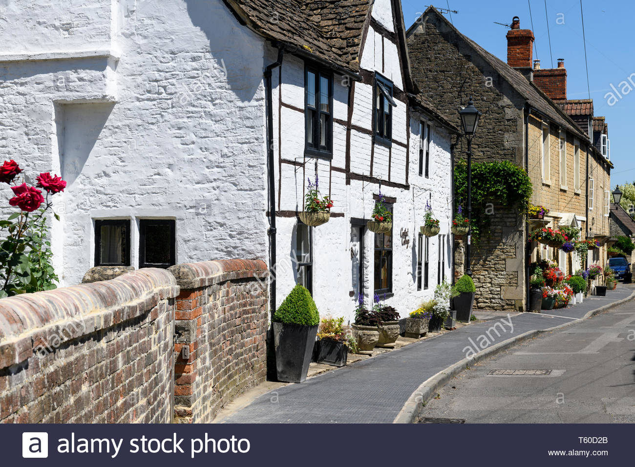 Quintessential Domestic High Resolution Stock Photography and Images