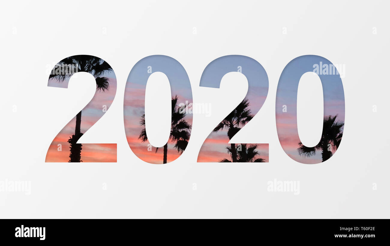 2020 over palm background Stock Photo