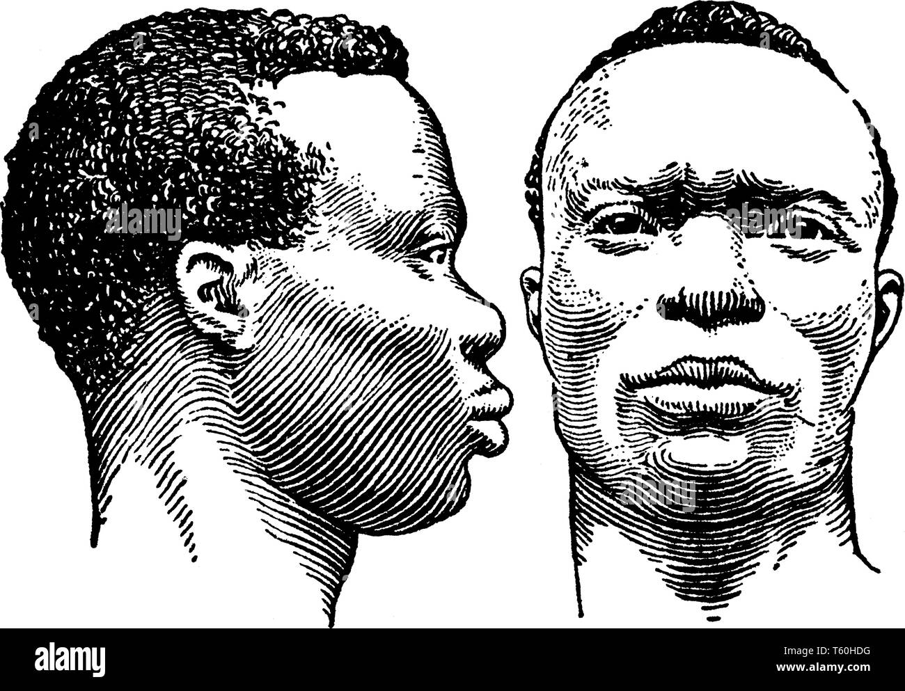 Negro+men Stock Vector Images - Alamy Negro+men Stock Vector Images - Alamy