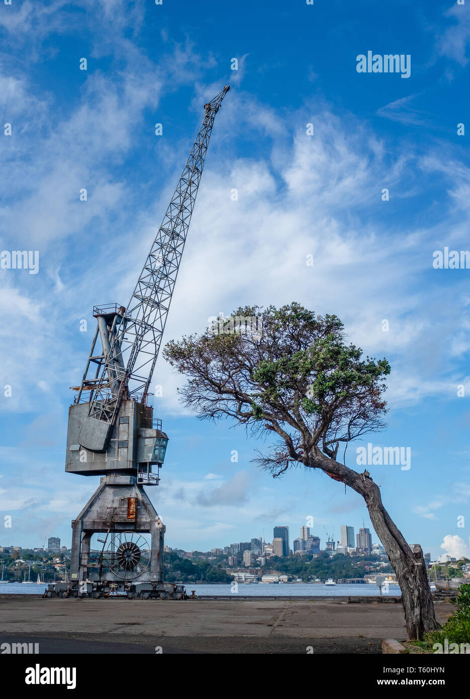 Cockatoo island Sydney, Australia, large industrial crane with old tree on dock of historical maritime ship yard Stock Photo