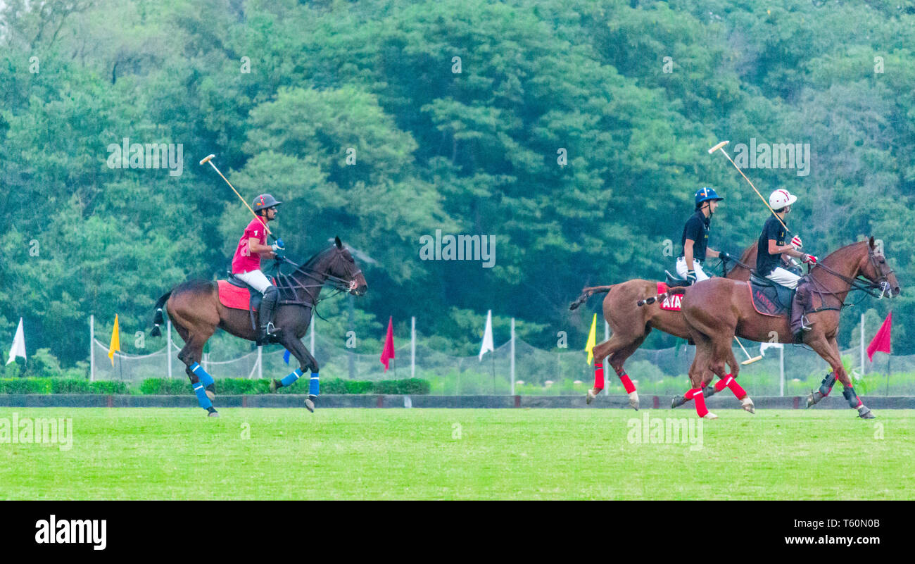 Players playing a polo match in a polo ground on a green field Stock