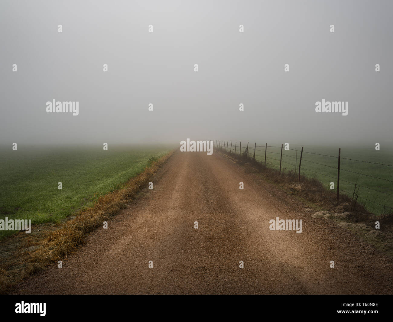 Dirt road on a foggy day. Stock Photo