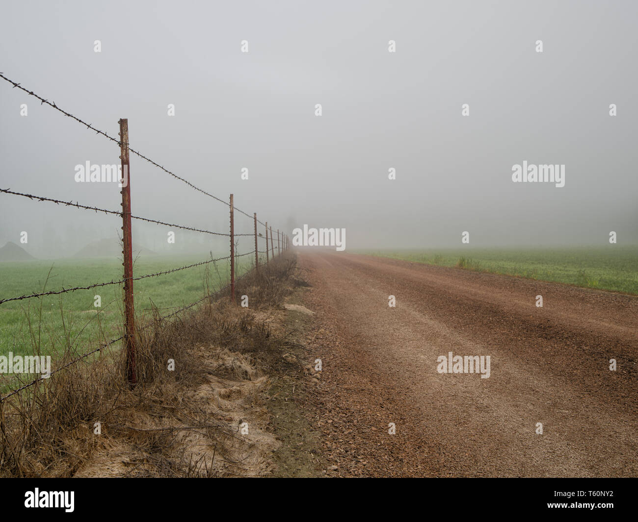 Dirt road on a foggy day. Stock Photo