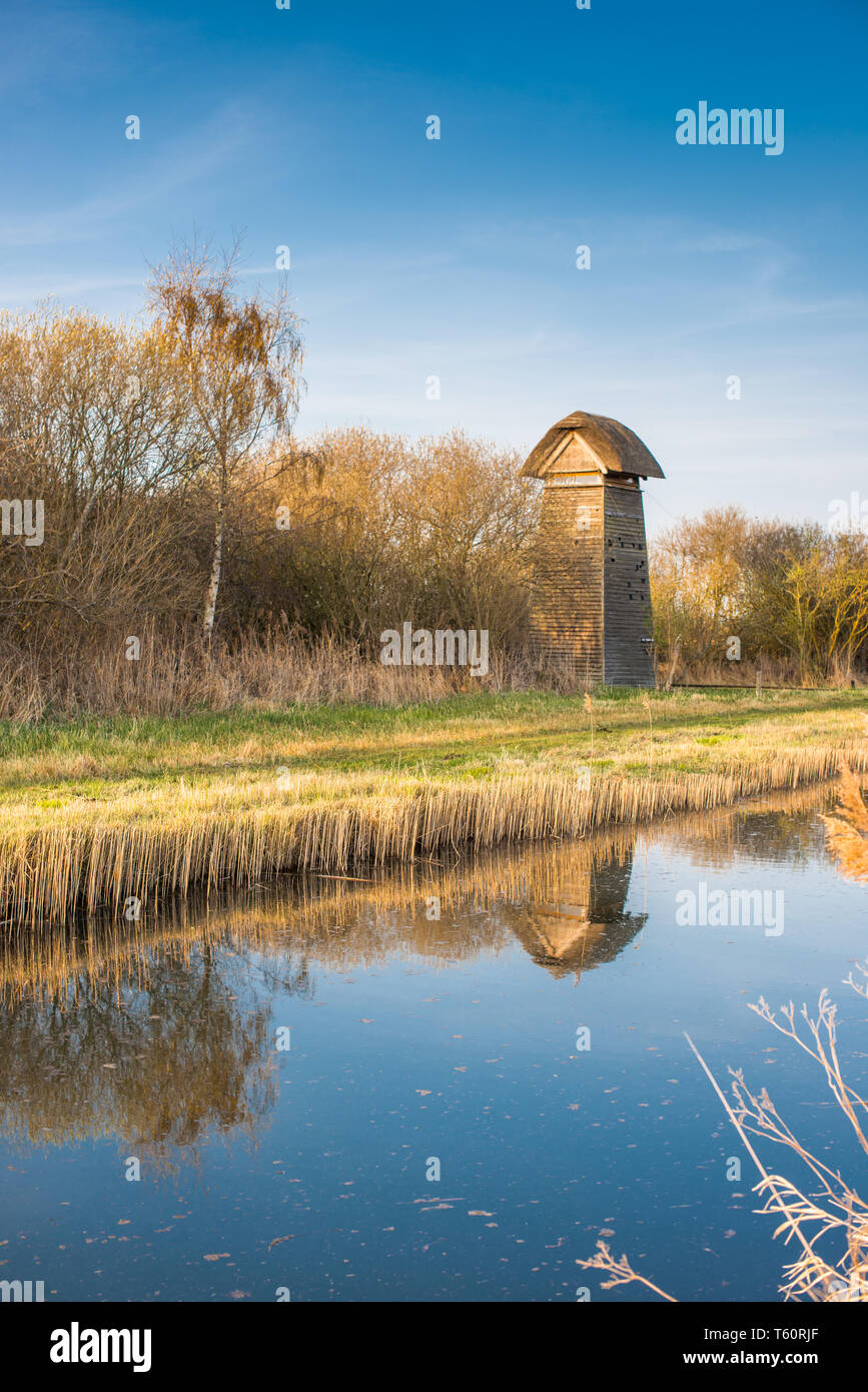 The Tower hide on the banks of Burwell Lode waterway on Wicken Fen nature reserve in warm evening sun, Cambridgeshire; England; UK Stock Photo