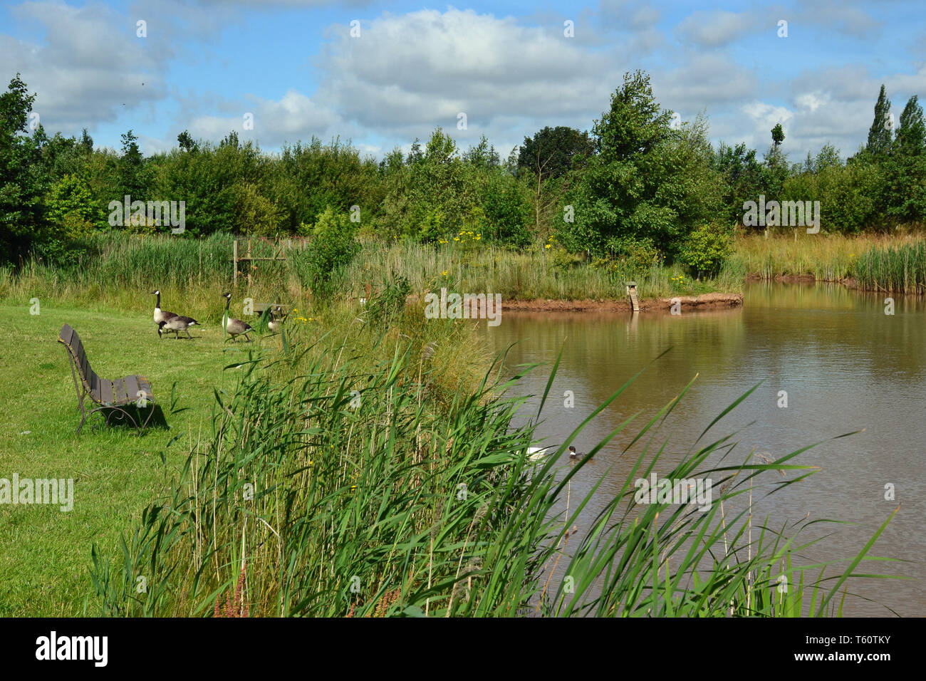 Garden and nature reserve in Lincolnshire, UK Stock Photo