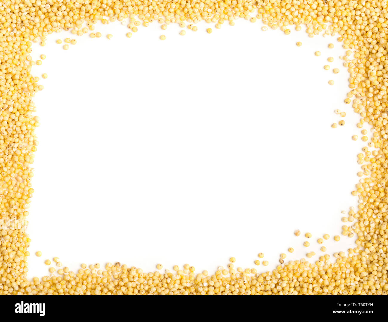 Golden millet, a gluten free grain seed, frame over white background