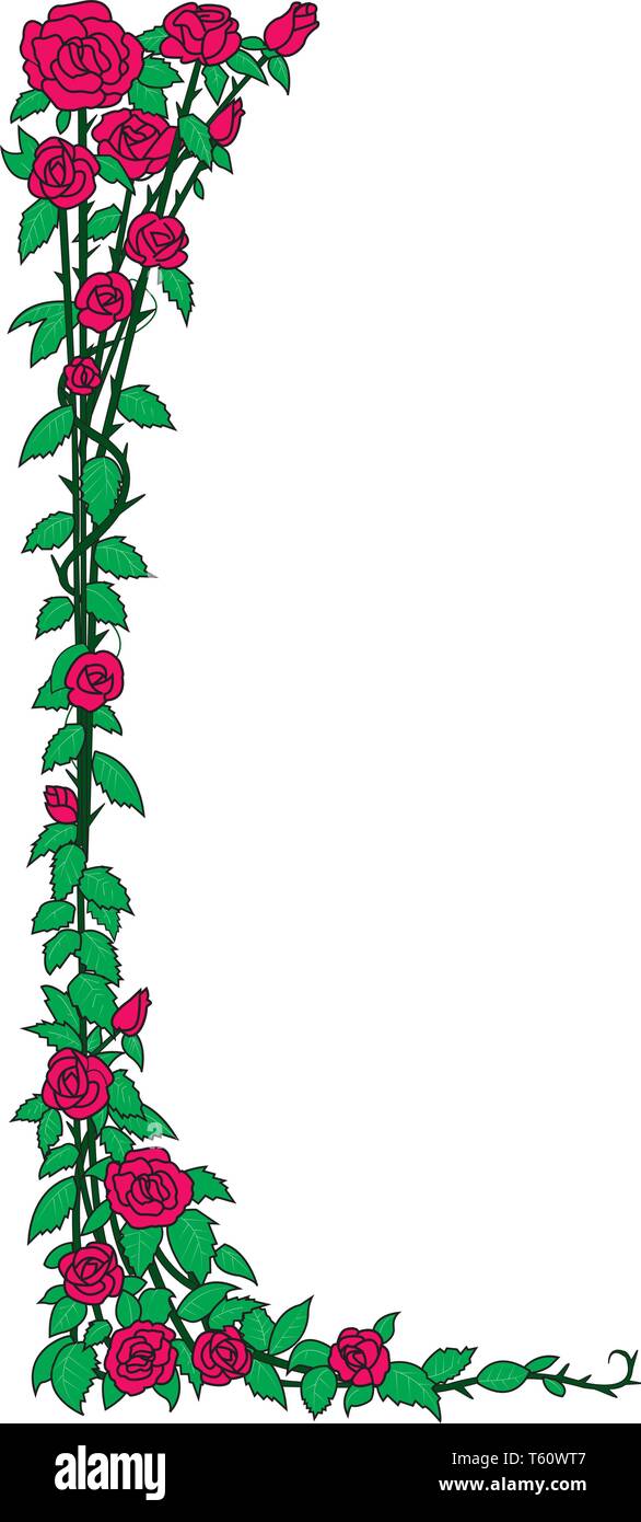 Red Rose Vine Border