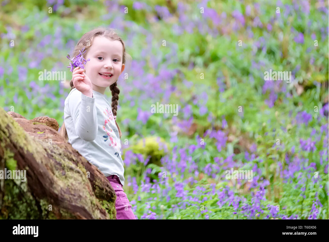 Young girl picking bluebell flowers outside in spring summer forest woodland Stock Photo