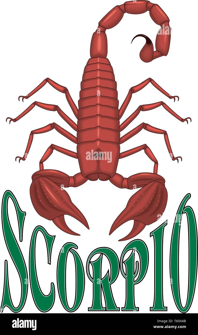 Scorpio Zodiac Sign Vector Illustration Stock Vector