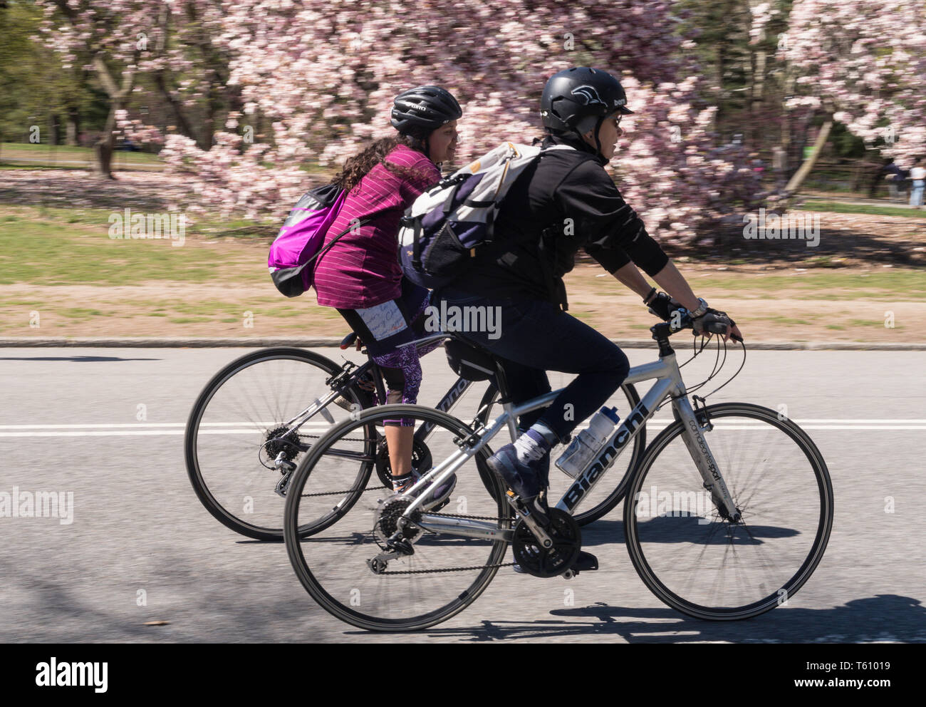 Man woman couple riding bicycles bikes hires stock photography and