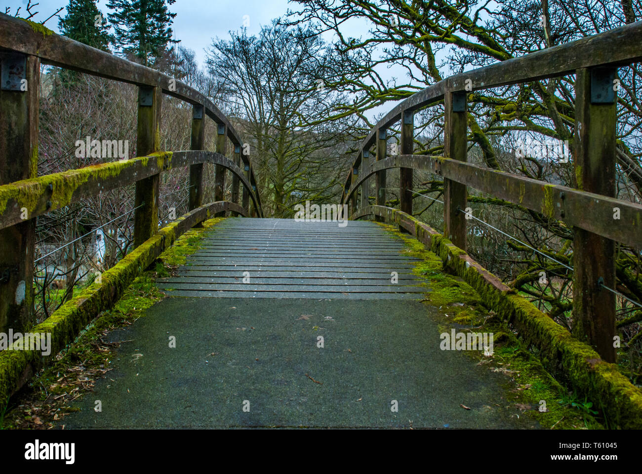 Old wooden bridge over the creek in the lake area, UK Stock Photo - Alamy