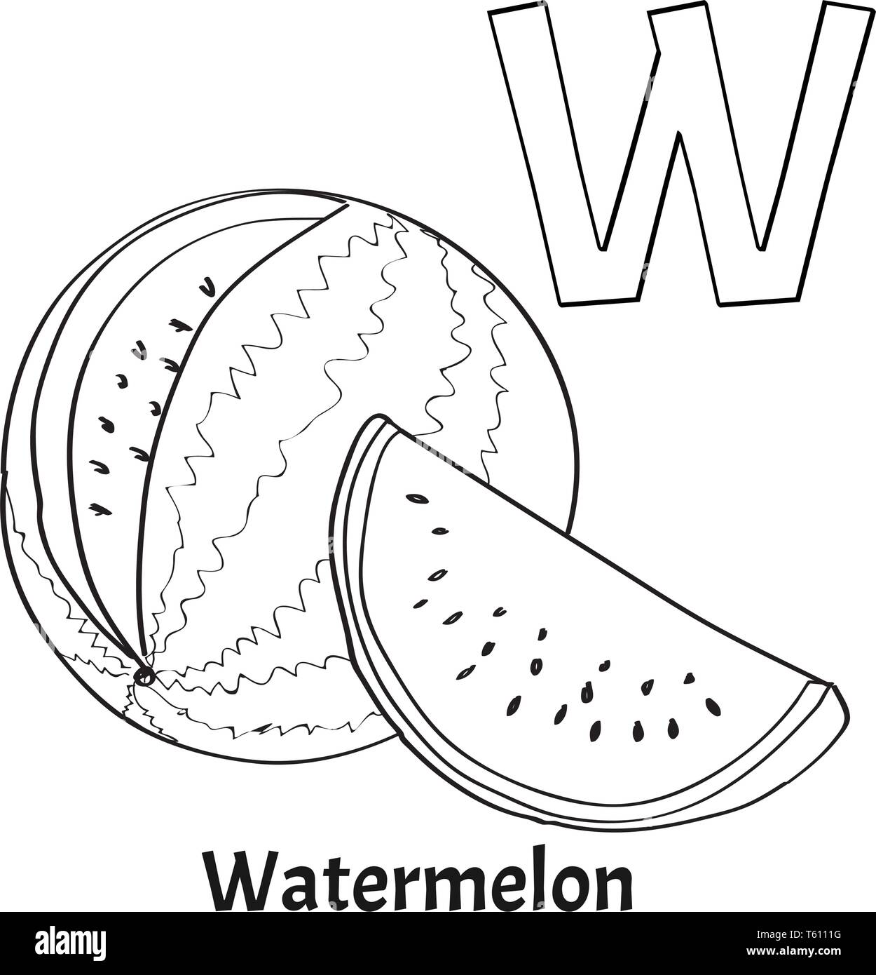 Letter w cartoon alphabet for children watermelon Vector Image