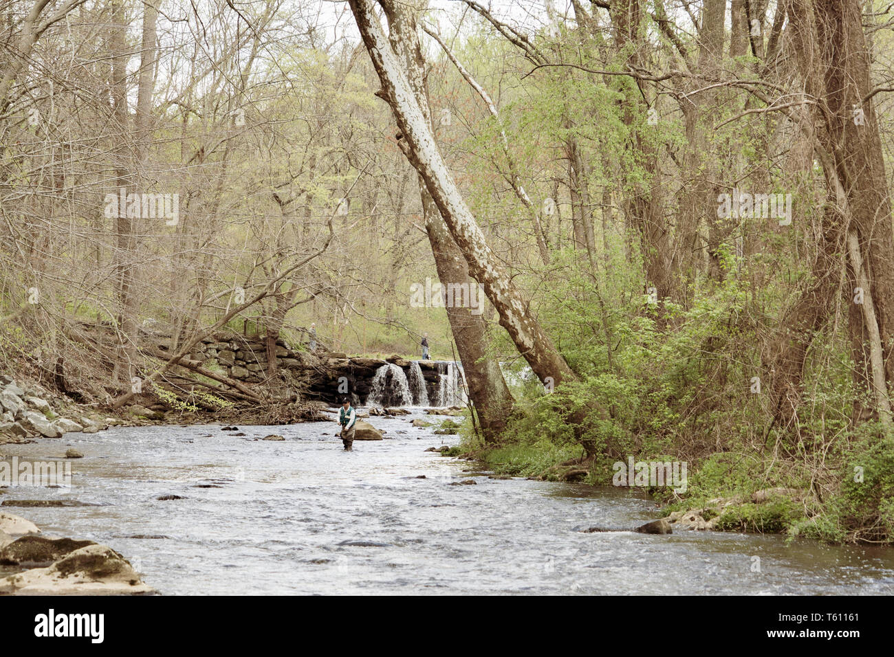 Man fishing in Ridley Creek, in Ridly Creek State Park in eastern Pennsylvania. Mid day in the