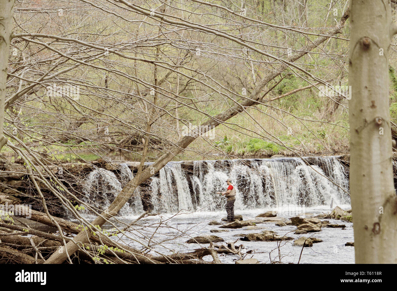 Man fishing in Ridley Creek, in Ridly Creek State Park in eastern Pennsylvania. Mid day in the