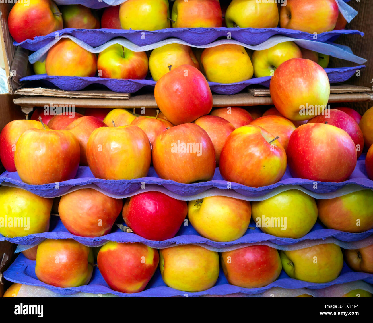 Colourful Pink Lady eating apples stacked for sale on a market stall