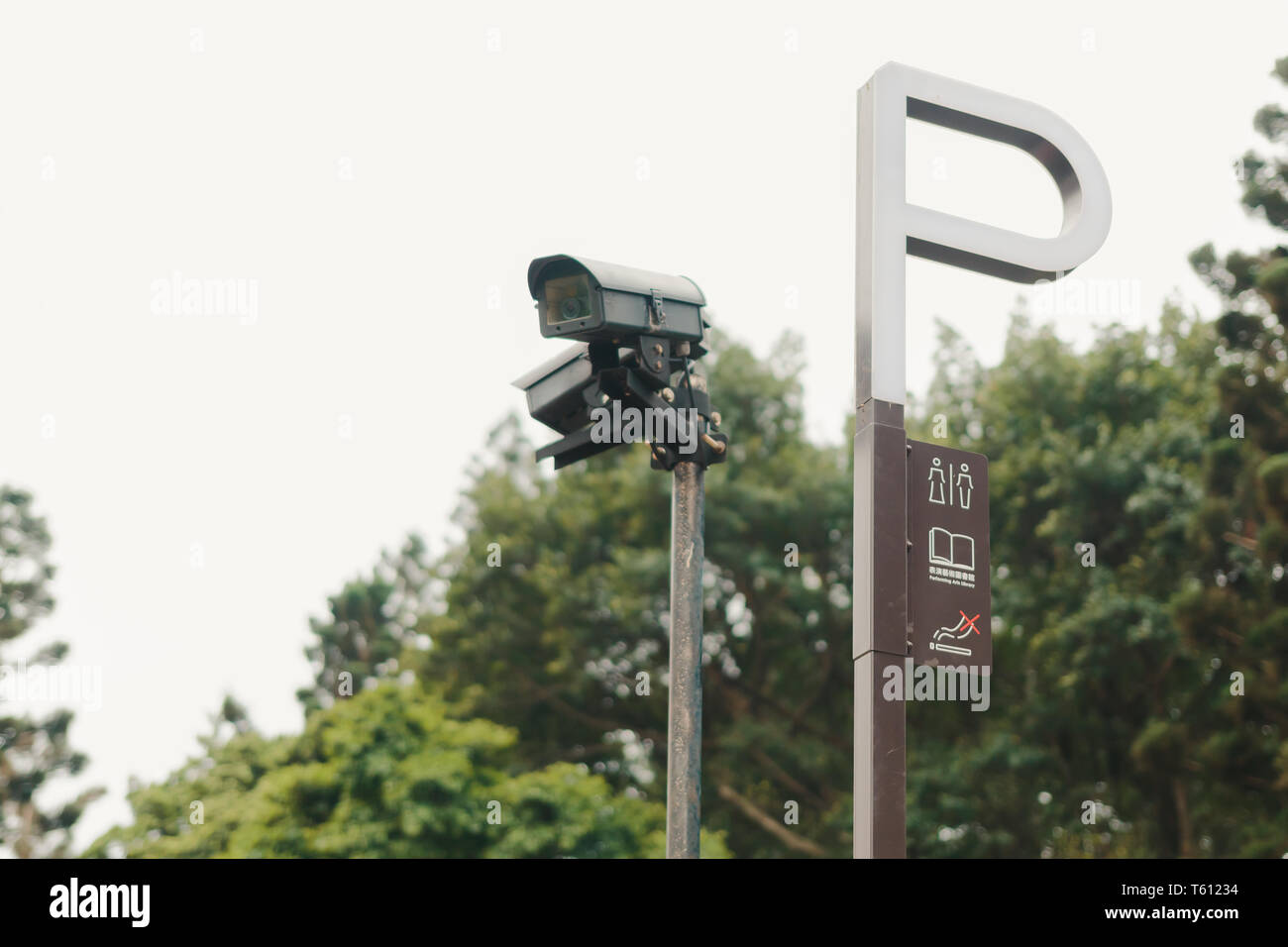Close up of dome security camera (CCTV) installed on a post in a park ...